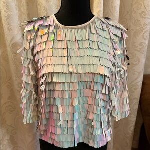 Revolve Iridescent Sequin Blouse